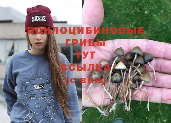 apvp Волосово