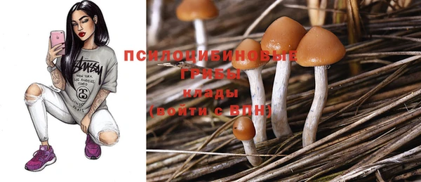первитин Володарск