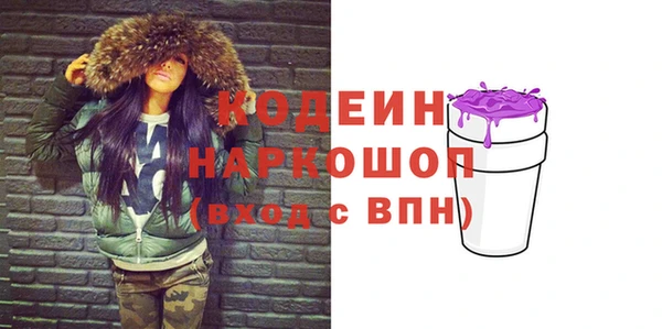молекула духа Волоколамск