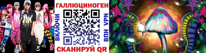 Галлюциногенные грибы Psilocybine cubensis  Купить где  Евпатория 